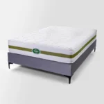 Green Mattress - Image 2
