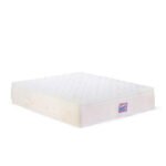 Memory mattress (35)